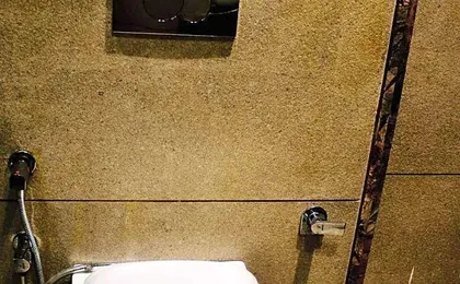 Hotel The Magic Tree - Karol Bagh New Delhi