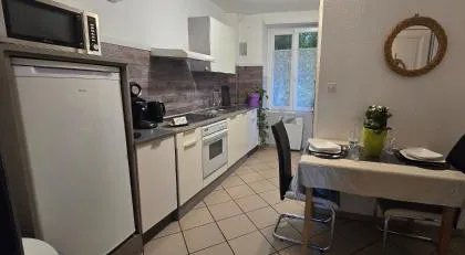 Appartement avec jardin à Colmar