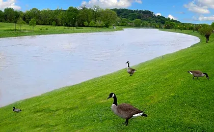 Econo Lodge Sevierville-Pigeon Forge on the River
