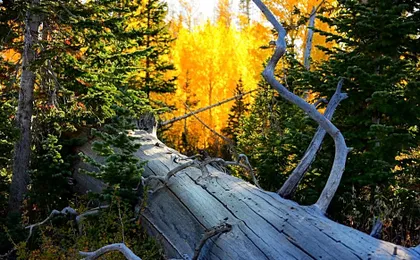 Iron Springs Luxury Lodge & Spa
