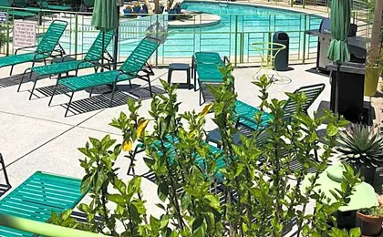 Caribbean Motel