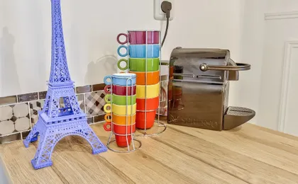 13 - Luxury Flat Eiffel Design 2