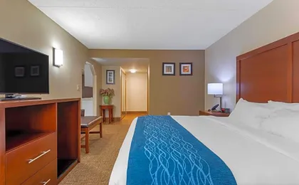 Comfort Inn Binghamton I-81