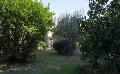 Apartment Zora Pula