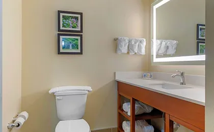 Comfort Suites West Monroe near Ike Hamilton Expo Center