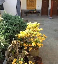 Lily International Youth Hostel-dali