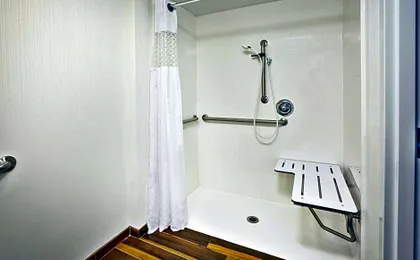 Hampton Inn Birch Run/Frankenmuth