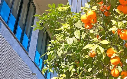 MD Modern Hotel - Jardines