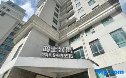 Shanghai Hongshi Apartment
