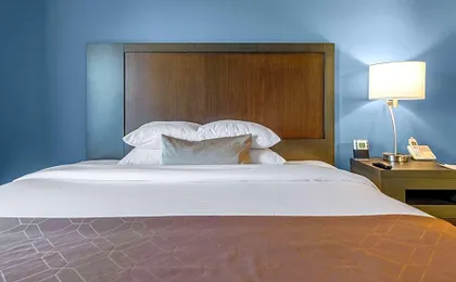 Wingate by Wyndham Chicago Schaumburg