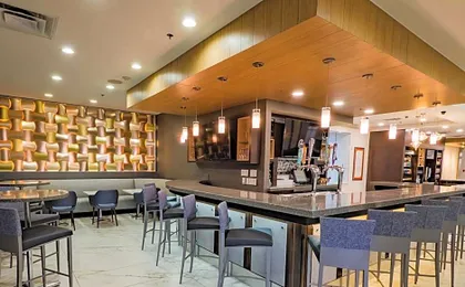 Hilton Garden Inn Atlanta South-Mcdonough