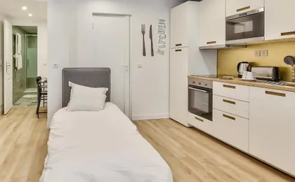 13 - Luxury Flat Eiffel Design 2
