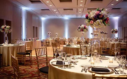 Hilton Boston/Dedham