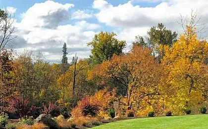 The Lodge at Roseburg