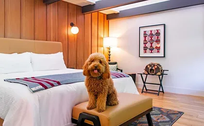 Historic Rocky Waters Inn, A Small Luxury Hotel