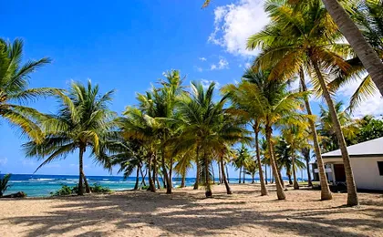 Palms Resort and Beach