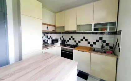 Franko's Cozy Apartment with garage