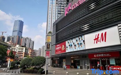 Shenzhen Baobab Backpacker Hostel