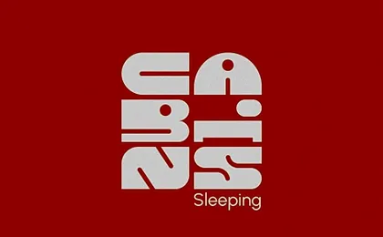 Cabins Sleeping Mets