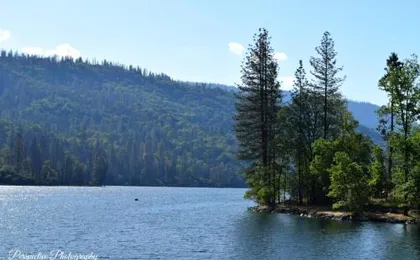 Yosemite Foothill Retreat