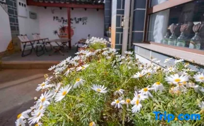 Lijiang Jianshan Yashu Homestay