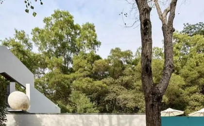 Suyab Mountain Encounter
