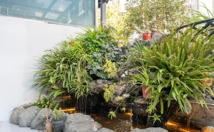 TAI YU Residence ln lijiang