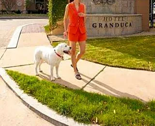Hotel Granduca Houston