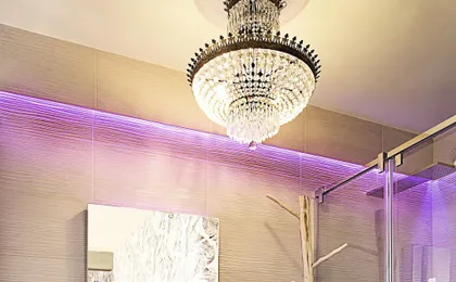 Blue Bird Suite