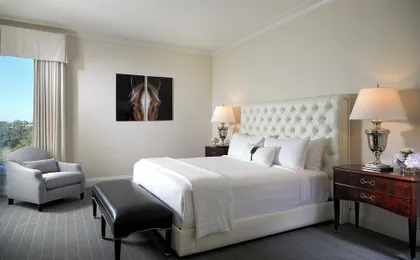 The Equestrian