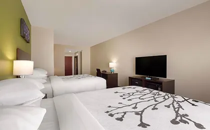 Sleep Inn & Suites North Mobile Saraland