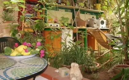 B&B The Garden