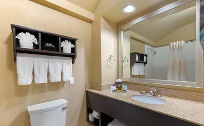 Best Western Plus Arlington North Hotel & Suites