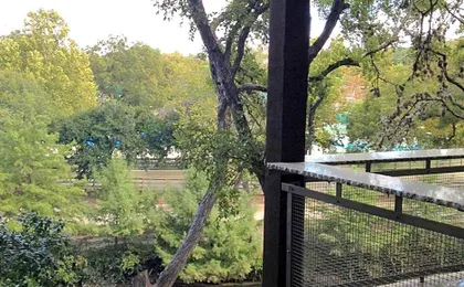 The Resort At Schlitterbahn