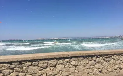Les Mats Du Port